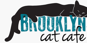 Brooklyn Cat Cafe