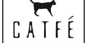 Catfé Lounge