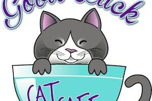Good Luck Cat Cafe