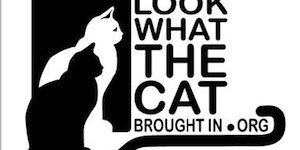 Look What the Cat Dragged In