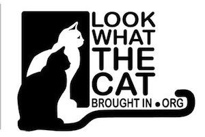 Look What the Cat Dragged In