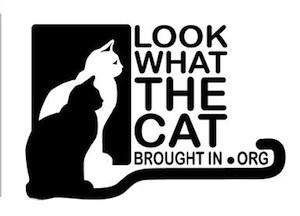 Look What the Cat Dragged In