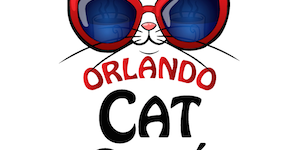 Orlando Cat Cafe