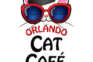Orlando Cat Cafe
