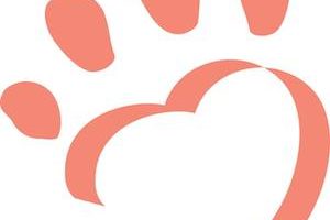 Tiny Lions Lounge & Adoption Center