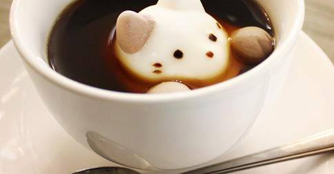 San Antonio Cat Cafe