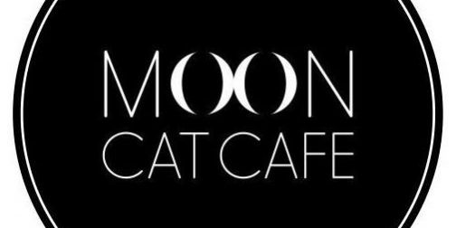 Moon Cat Cafe
