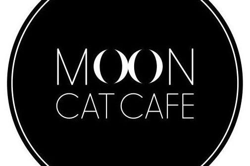 Moon Cat Cafe