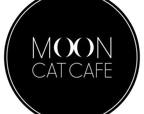 Moon Cat Cafe