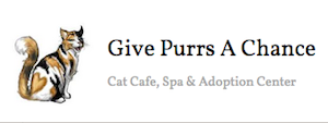 Give Purrs a Chance