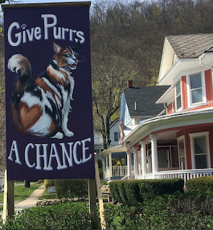 Give Purrs a Chance