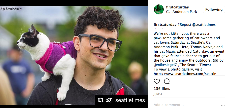 Seattle First Caturday