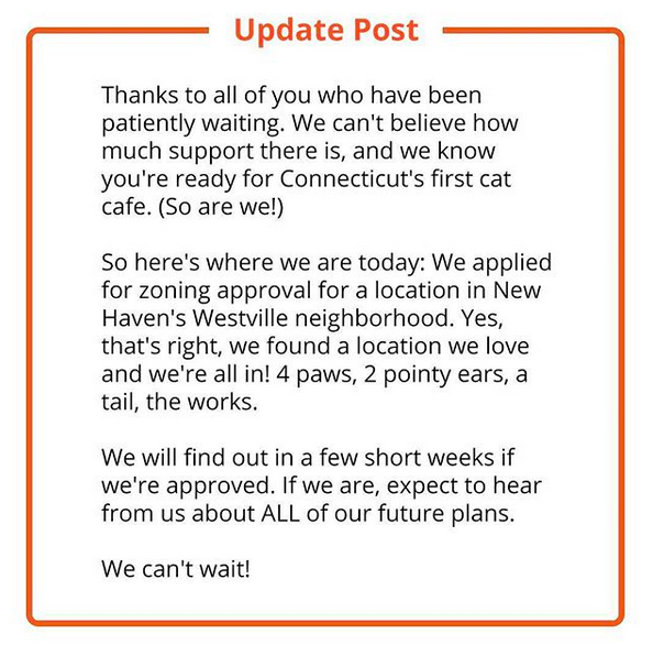 Connecticut Cat Cafe