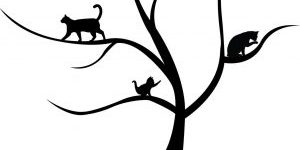 Chester County Cat Cafe