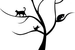 Chester County Cat Cafe