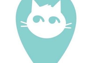 Daytona Beach Cat Cafe