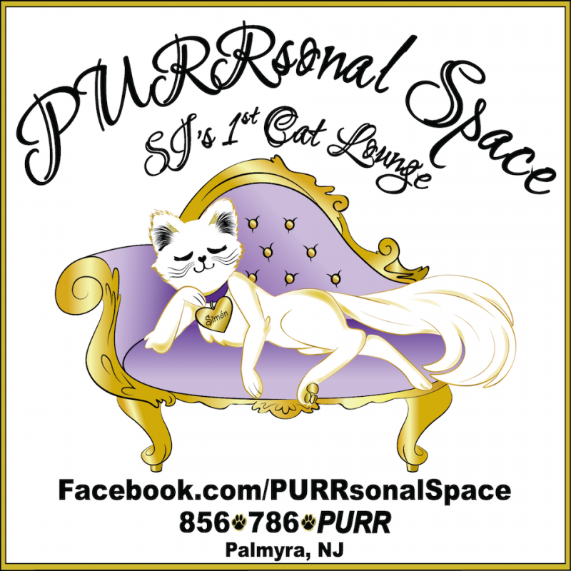 PURRsonal Space
