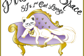 PURRsonal Space