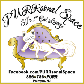 PURRsonal Space