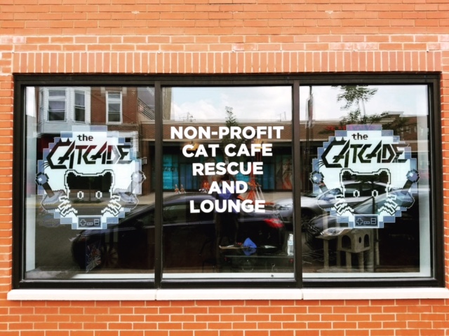 CatCade, Chicago Cat Lounge