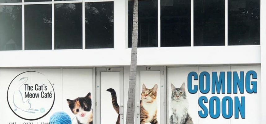 Cat's Meow Cafe