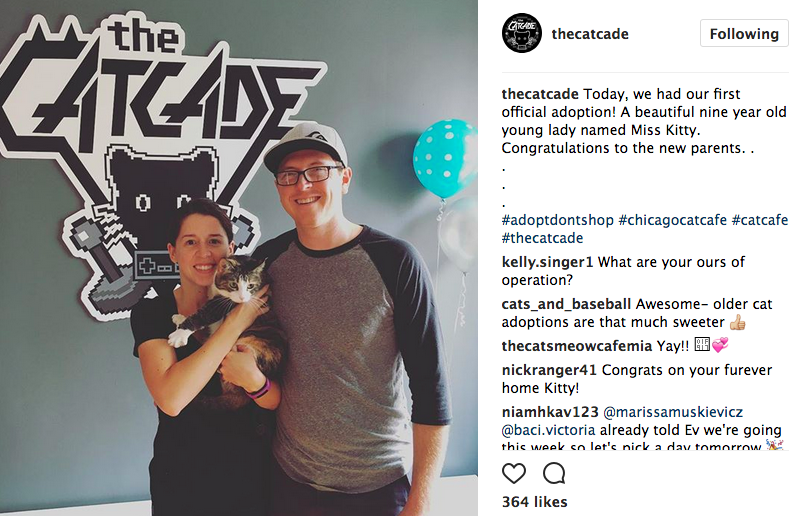 CatCade Cat Adoption