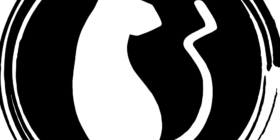 Crooked Tail Cat Cafe