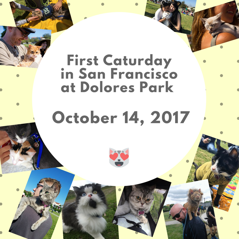 First Caturday in Delores Park