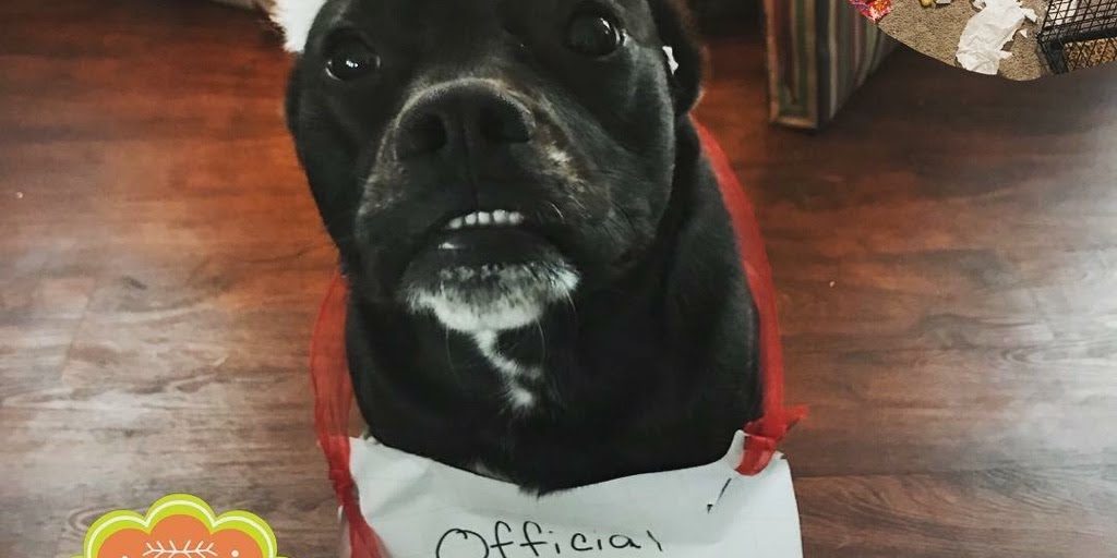 Santa's Naughty Pet List