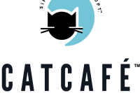 CatCafe Lounge
