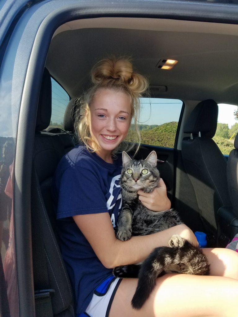 Drive through Pet Blessings