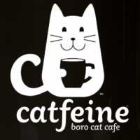 Murfreesboro Cat Cafe
