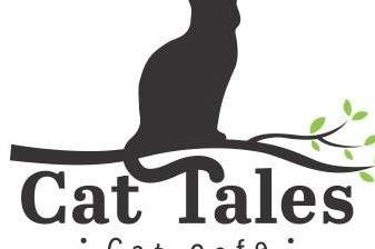Chapel Hill Cat Cafe