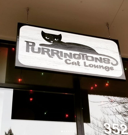 Purringtons Cat Cafe