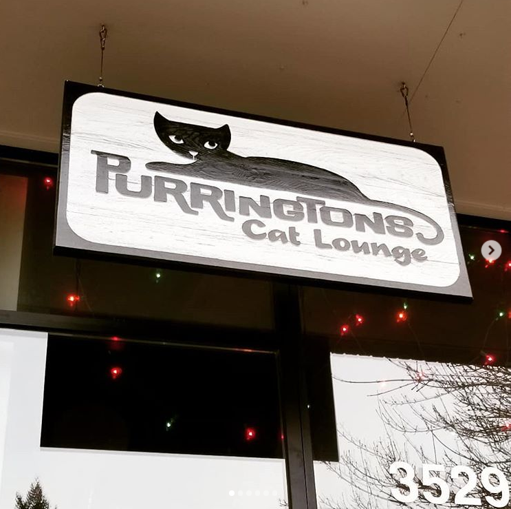 Purringtons Cat Cafe