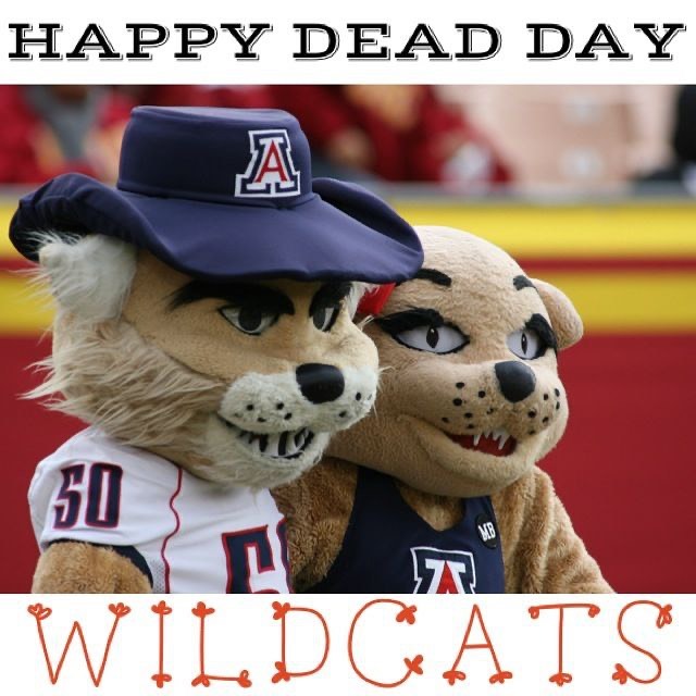 University of Arizona finals