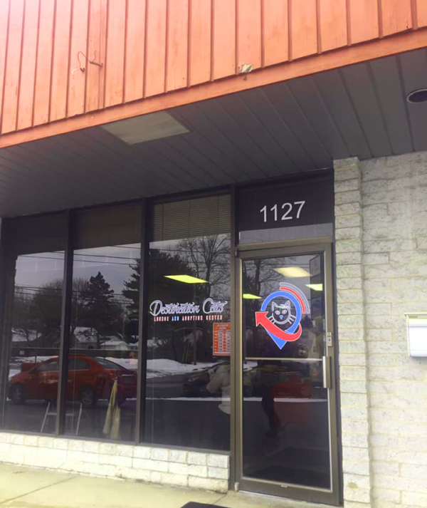 Ohio Destination Cats That Cat Life