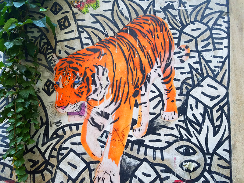 Tiger