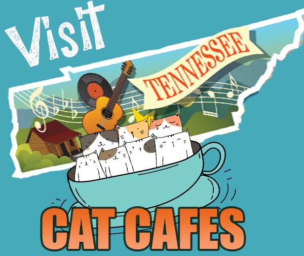 Tennessee Cat Cafes
