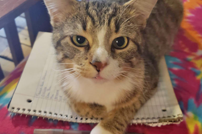 University of Wisconsin-Stout