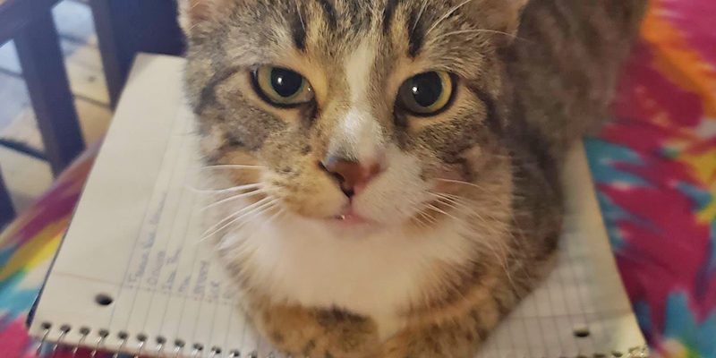 University of Wisconsin-Stout