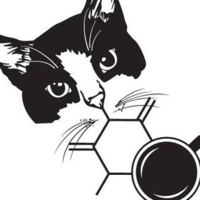 Cattfeinated Cat Cafe