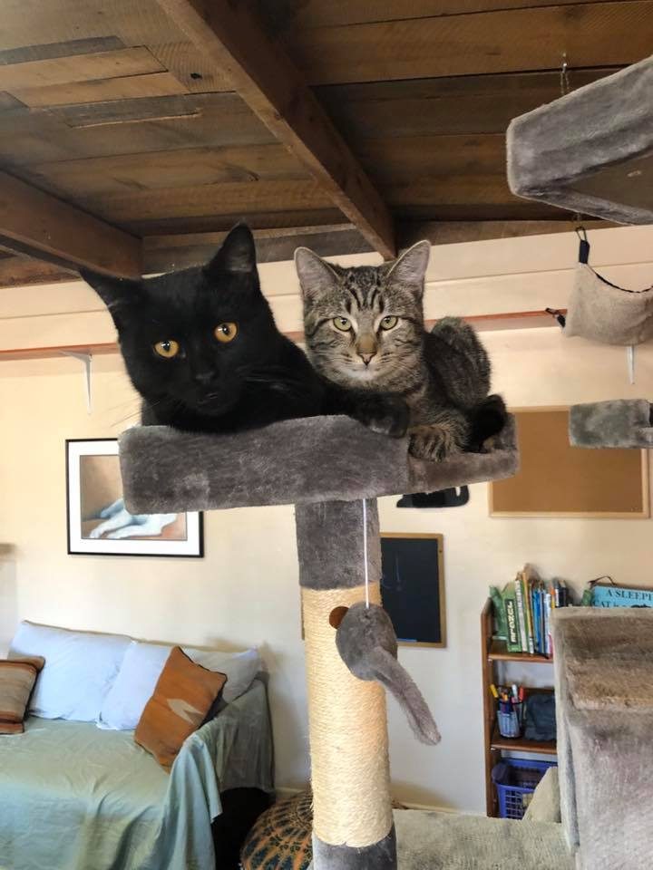 Stray Hearts ReTails