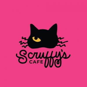 New Knoxville Cat Cafe Opening