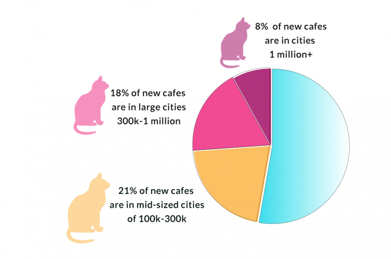 Cat Cafe Trends and Updates That Cat Life