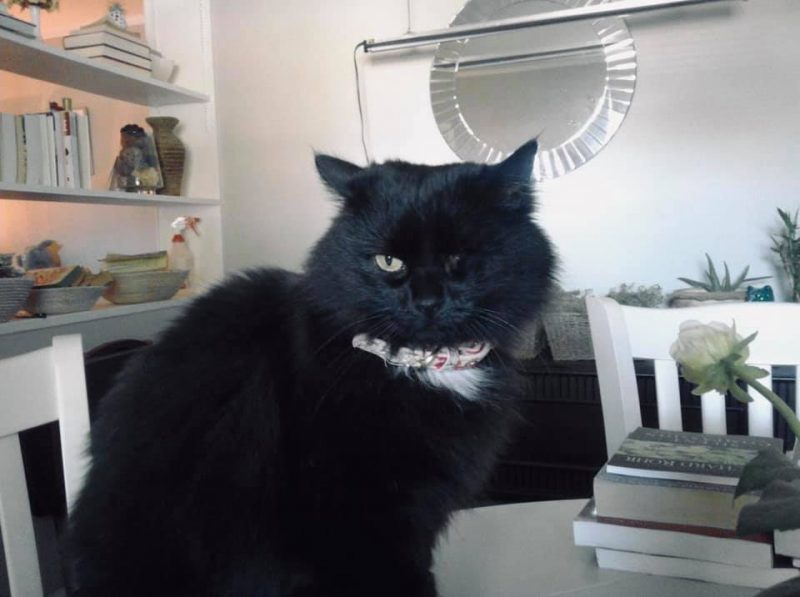 Scruffy’s Cafe Scruffy's Cafe