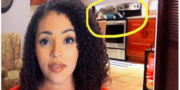 Work from Home Newscaster