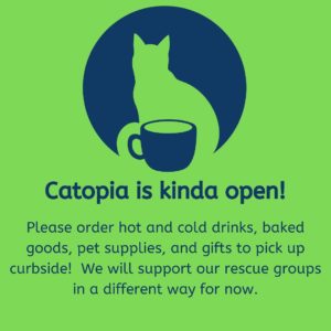 Catopia Reopening