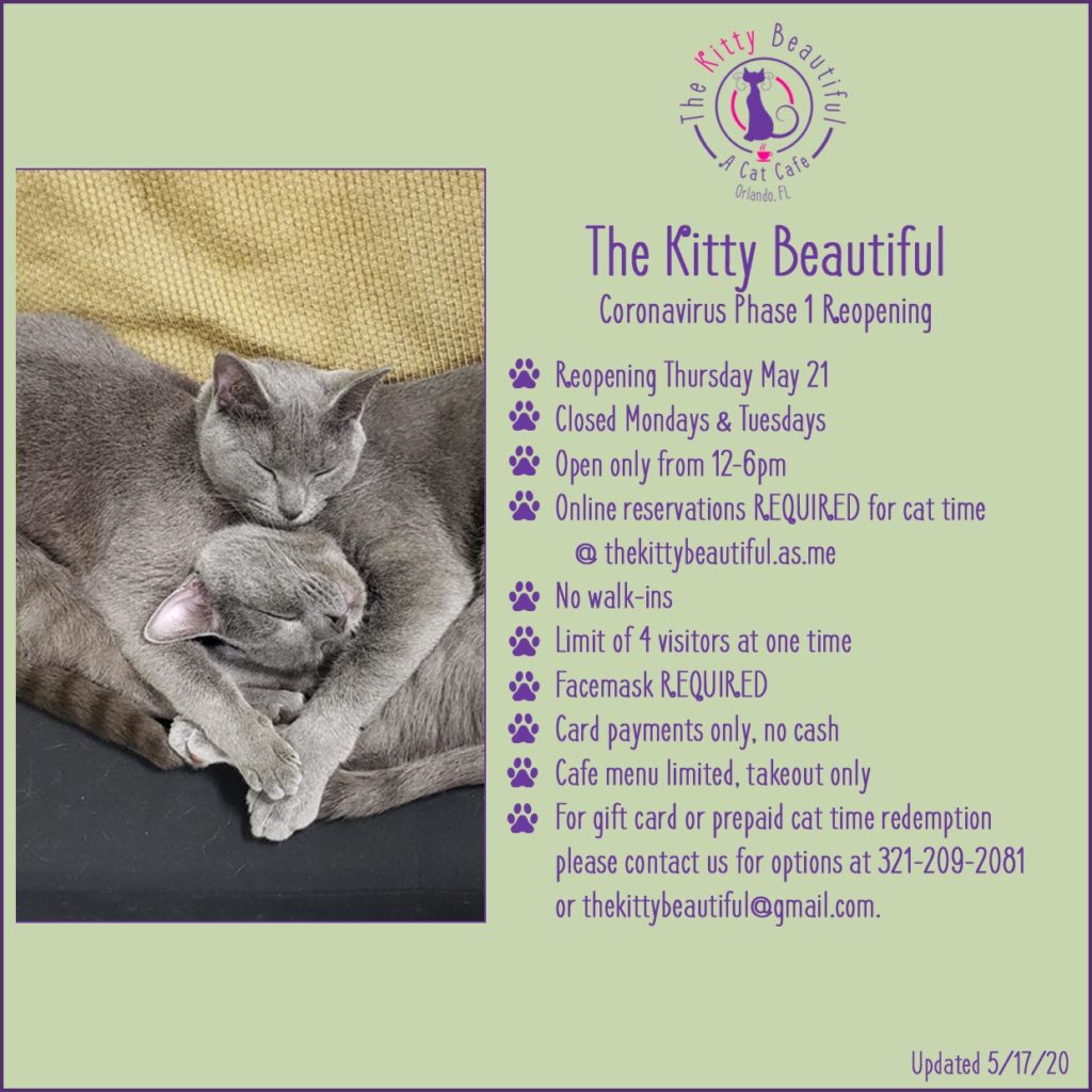 The Kitty Beaufiful Coronavirus Reopening