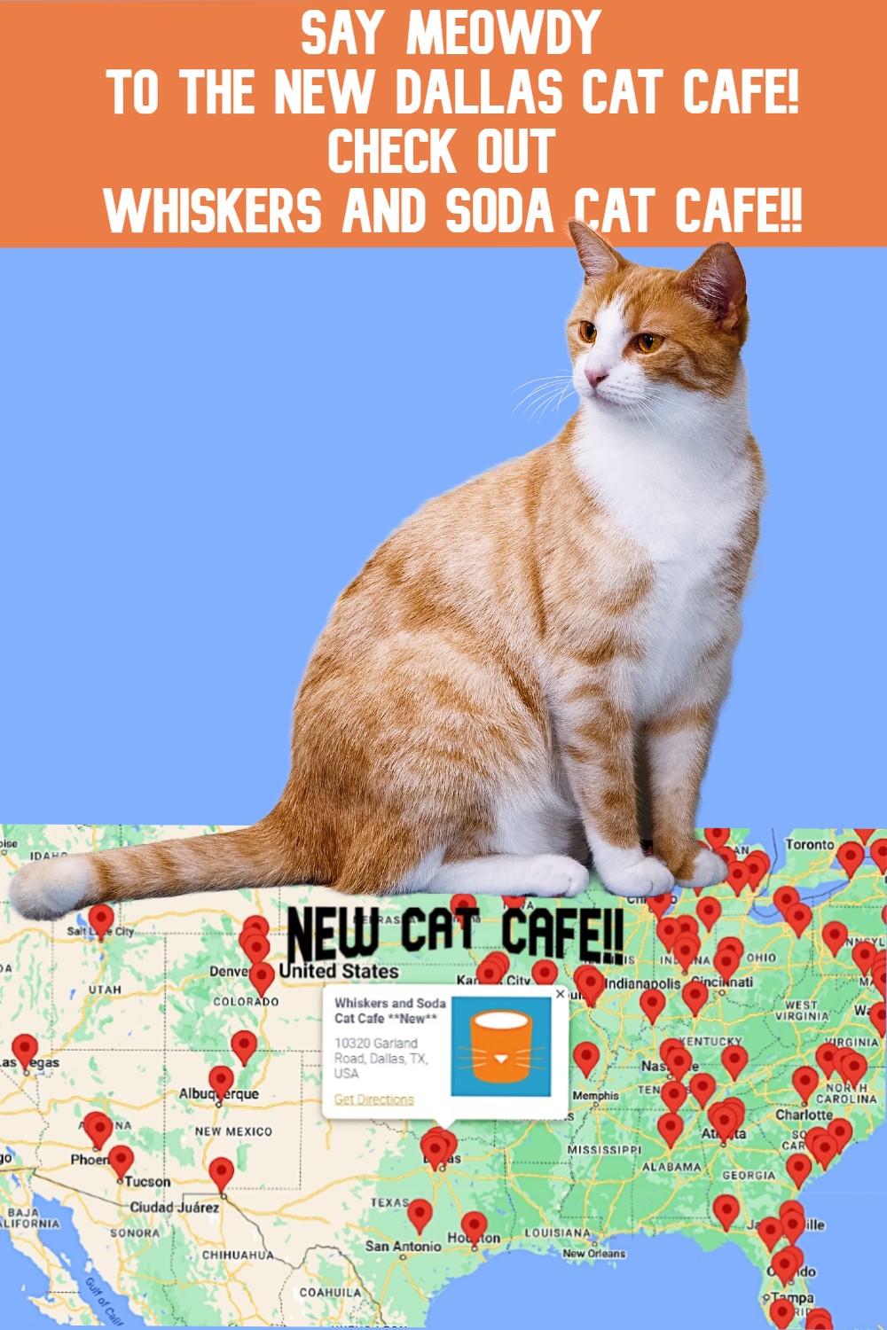 Whiskers and Soda Cat Cafe Pin That Cat Life